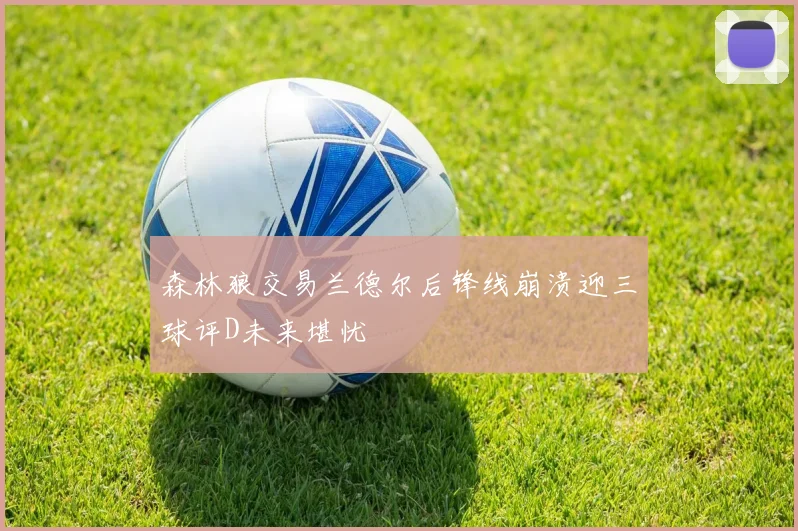 森林狼交易兰德尔后锋线崩溃迎三球评D未来堪忧